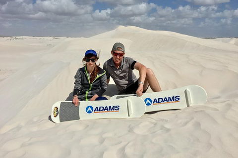 Full Day Pinnacle Desert Explorer From Perth Including Hillarys And Lancelin Sandboarding - ACT Tourism 4