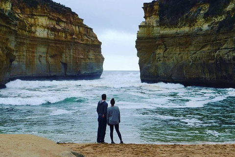 Great Ocean Road Small-Group Ecotour From Melbourne - ACT Tourism 1