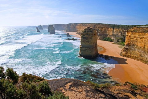Great Ocean Road Small-Group Ecotour From Melbourne - ACT Tourism 2
