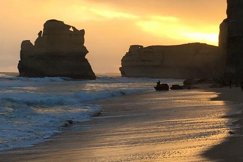 Great Ocean Road Small-Group Ecotour From Melbourne - ACT Tourism 5