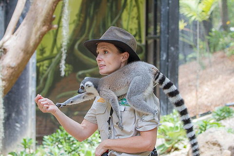 Currumbin Wildlife Sanctuary General Entry Ticket - ACT Tourism 1