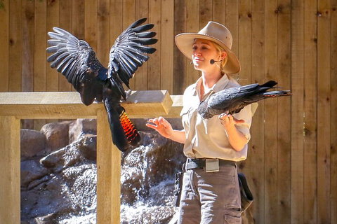 Currumbin Wildlife Sanctuary General Entry Ticket - ACT Tourism 4