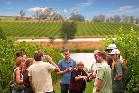 Yarra Valley Wine And Winery Tour From Melbourne - ACT Tourism 0