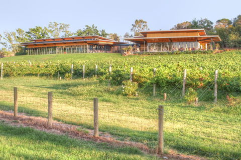 Yarra Valley Wine And Winery Tour From Melbourne - ACT Tourism 1