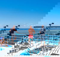 Calypso Outer Great Barrier Reef Cruise from Port Douglas - ACT Tourism