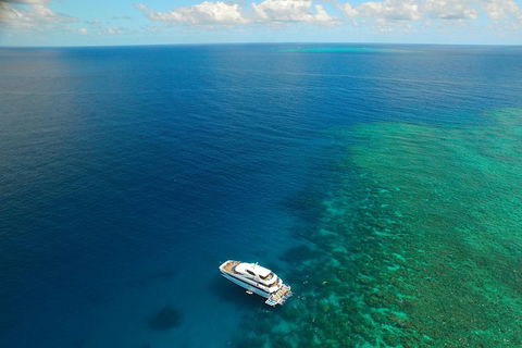 Great Barrier Reef Snorkeling And Diving Cruise From Cairns - ACT Tourism 4