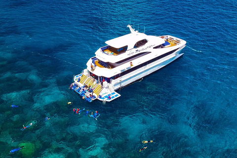 Great Barrier Reef Snorkeling And Diving Cruise From Cairns - ACT Tourism 5
