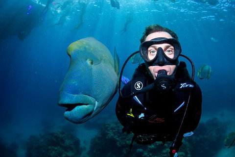 Full Day Reef Cruise Including 10 Minute Heli Scenic Flight: Get High Package - ACT Tourism 1