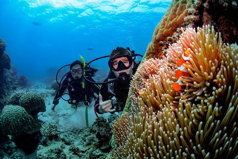 Full Day Reef Cruise Including 10 Minute Heli Scenic Flight: Get High Package - ACT Tourism 5