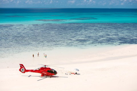 Private Helicopter Tour: Reef Island Snorkeling And Gourmet Picnic Lunch - ACT Tourism 2