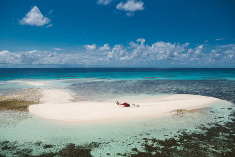 Private Helicopter Tour: Reef Island Snorkeling And Gourmet Picnic Lunch - ACT Tourism 4