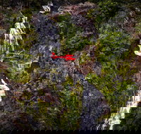 Ultimate Great Barrier Reef and Rainforest 45-minute Helicopter Tour - ACT Tourism