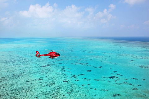 Ultimate Great Barrier Reef And Rainforest 45-minute Helicopter Tour - ACT Tourism 2