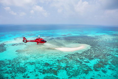 Ultimate Great Barrier Reef And Rainforest 45-minute Helicopter Tour - ACT Tourism 3