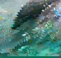 2-Day Moreton Island 4WD Camping Tour from Brisbane - ACT Tourism