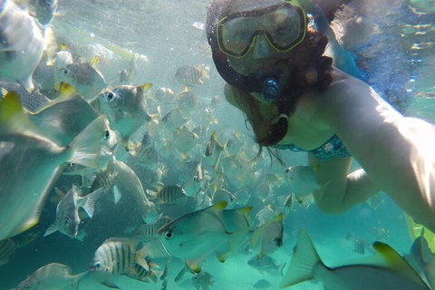 Moreton Island Snorkel And Sandboarding 4WD Day Trip From Brisbane - ACT Tourism 3