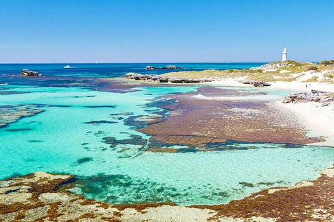 Rottnest Island Bike, Snorkel & Ferry Package From Perth - ACT Tourism 5