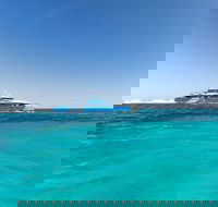 Rottnest Island Bayseeker Day Trip from Perth - ACT Tourism