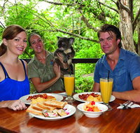 Breakfast with the Koalas at Hartley's Crocodile Park from Cairns or Palm Cove - ACT Tourism