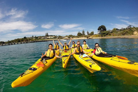 Mornington Peninsula Kayak Coastline Tour Of Dolphin Sanctuary - ACT Tourism 2