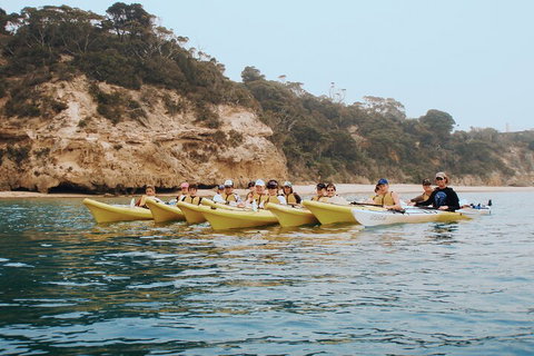Mornington Peninsula Kayak Coastline Tour Of Dolphin Sanctuary - ACT Tourism 4