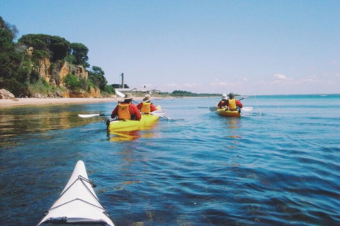 Mornington Peninsula Kayak Coastline Tour Of Dolphin Sanctuary - ACT Tourism 5