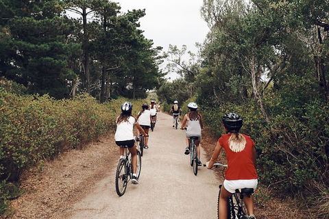 Self-Guided Point Nepean National Park Bike Hire - ACT Tourism 3