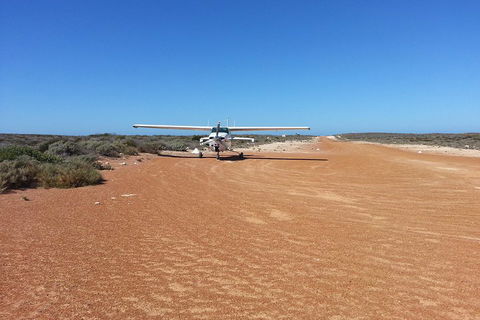 Abrolhos Islands Scenic Flight & Snorkel Adventure From Perth - ACT Tourism 3