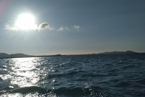 Townsville Small Group Early Morning Sailing Cruise Boat Tour Charter Hire - ACT Tourism 4