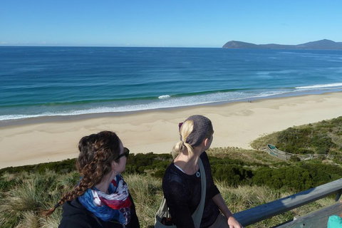 Small-Group Day Trip From Hobart To Bruny Island - ACT Tourism 3
