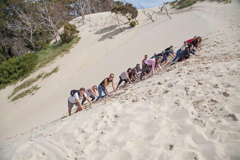 6-Day Tasmanian Explorer Adventure Tour From Hobart - ACT Tourism 2