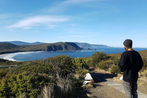 4-Day Fabulous Tasmania Tour: Wineglass Bay, Port Arthur, Devils & Bruny Island - ACT Tourism 0