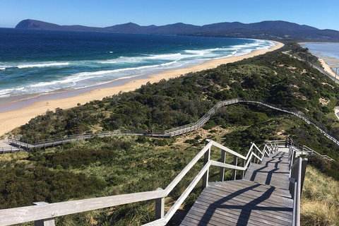 4-Day Fabulous Tasmania Tour: Wineglass Bay, Port Arthur, Devils & Bruny Island - ACT Tourism 5