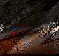 Alice Springs Desert Park Nocturnal Tour - ACT Tourism