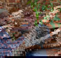 Private Tour Blue Mountains Day Trip from Sydney - ACT Tourism