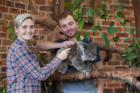 Private Tour: Blue Mountains Day Trip From Sydney - ACT Tourism 0