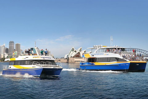 Go City | Sydney Explorer Pass With 20+ Attractions And Tours - ACT Tourism 5