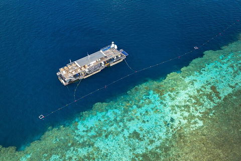 Great Barrier Reef Day Cruise To Reefworld - ACT Tourism 2