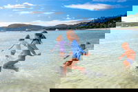 Book Viator Accommodation Vacations ACT Tourism ACT Tourism