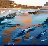 Adventure Moreton Island Wrecks Adventure Package - ACT Tourism