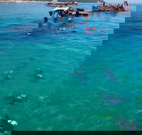 Adventure Moreton Island Scuba Dive Tour - ACT Tourism