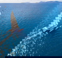 2-Night Whitsunday Islands Sailing Adventure on Trimaran Avatar - ACT Tourism
