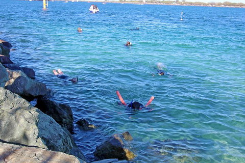 Wave Break Island Scuba Diving On The Gold Coast - ACT Tourism 1