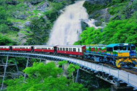 Cairns ATV Adventure Tour And Morning Train - ACT Tourism 4
