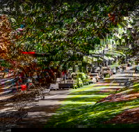 Fully Inclusive Blue Mountains Private Tour inc Scenic World  Featherdale entry - ACT Tourism