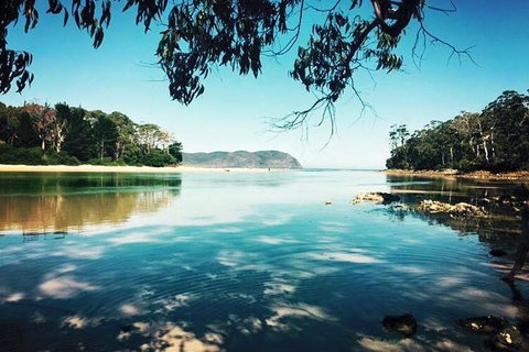 Full-Day Guided Bruny Island Tour From Hobart - ACT Tourism 1