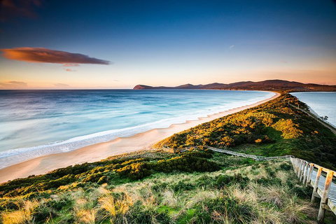 Full-Day Guided Bruny Island Tour From Hobart - ACT Tourism 2