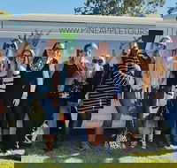 Full Day Mount Tamborine Winery Tour from Gold Coast - ACT Tourism