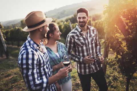 Full Day Mount Tamborine Winery Tour From Gold Coast - ACT Tourism 5