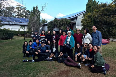 Full Day Mount Tamborine Winery Tour From Brisbane - ACT Tourism 2